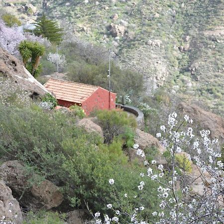 Casa Cueva El Pedregal Tejeda Villa Dış mekan fotoğraf