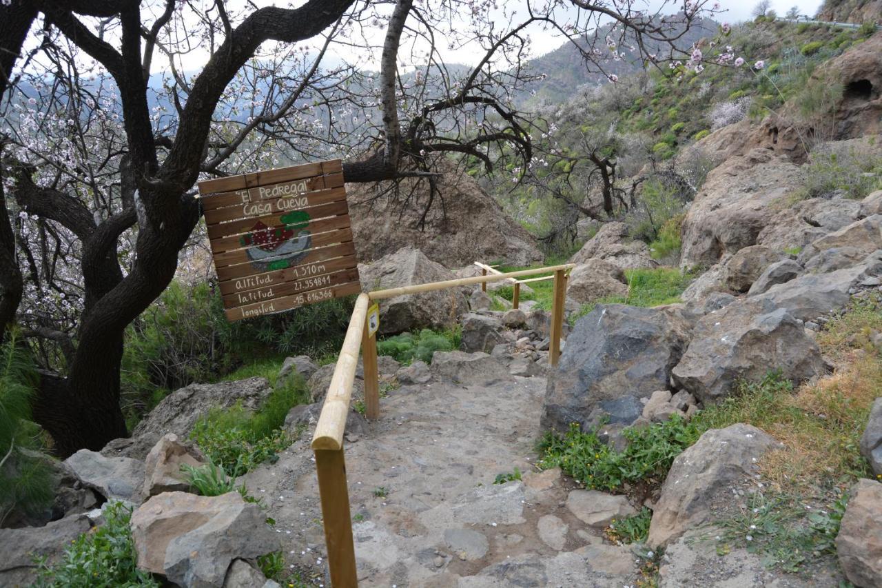Casa Cueva El Pedregal Tejeda Villa Dış mekan fotoğraf