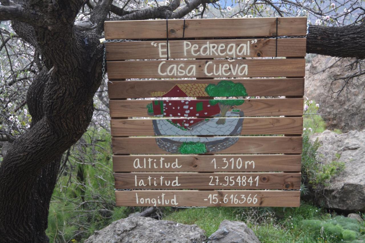 Casa Cueva El Pedregal Tejeda Villa Dış mekan fotoğraf