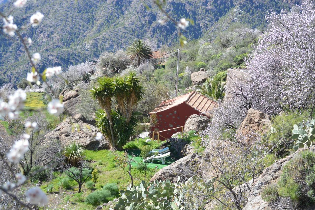 Casa Cueva El Pedregal Tejeda Villa Dış mekan fotoğraf
