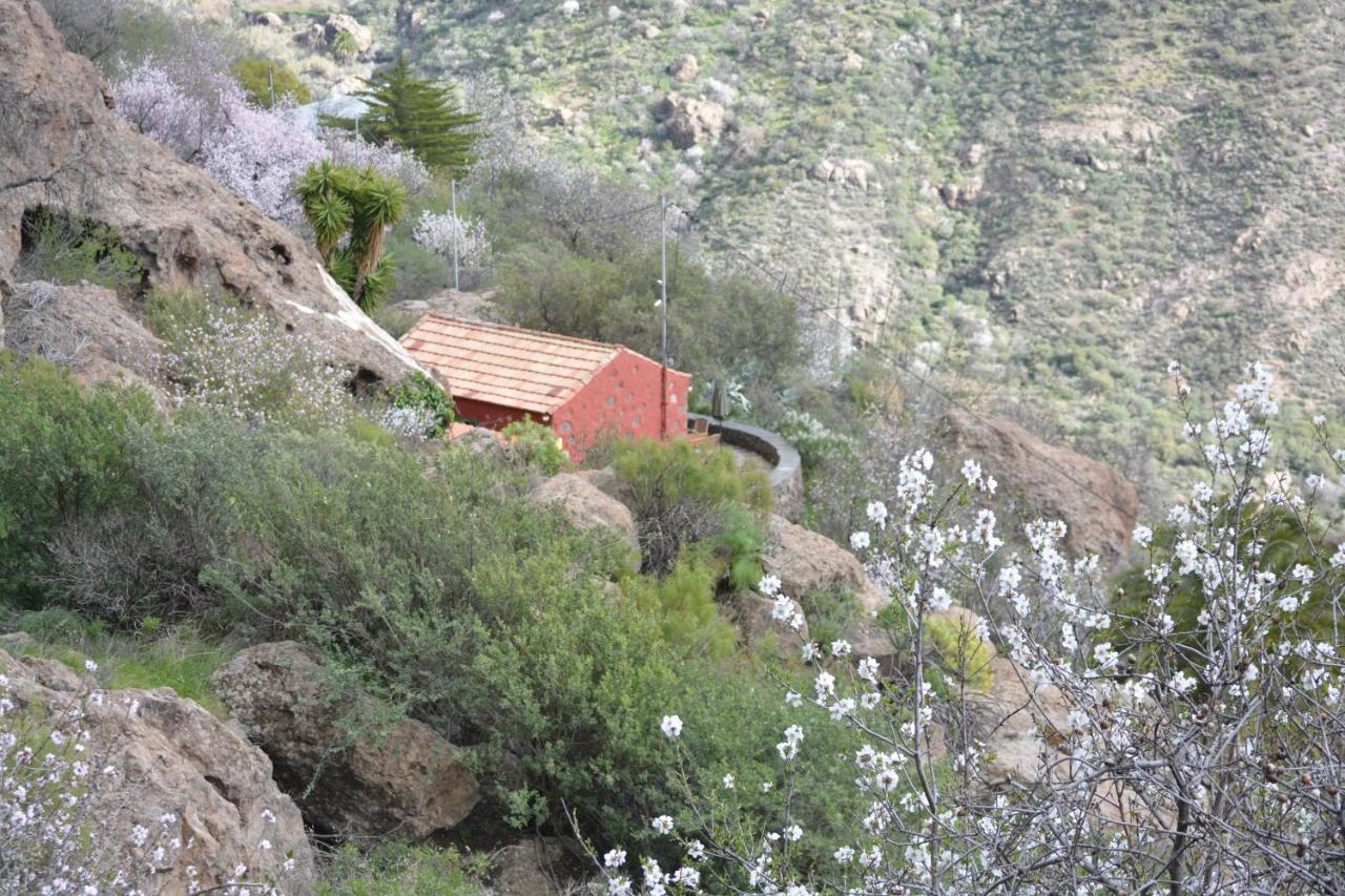 Casa Cueva El Pedregal Tejeda Villa Dış mekan fotoğraf