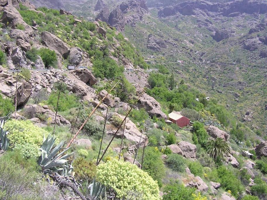 Casa Cueva El Pedregal Tejeda Villa Dış mekan fotoğraf