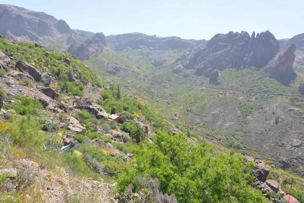 Casa Cueva El Pedregal Tejeda Villa Dış mekan fotoğraf