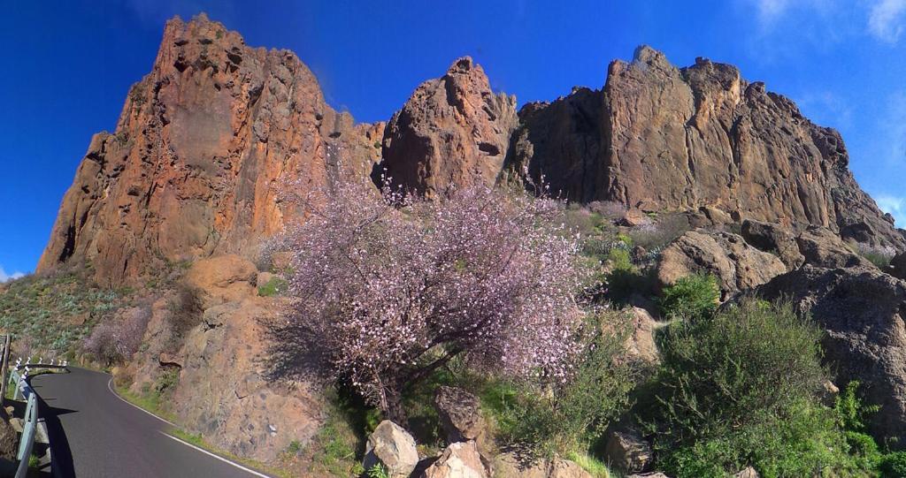Casa Cueva El Pedregal Tejeda Villa Dış mekan fotoğraf